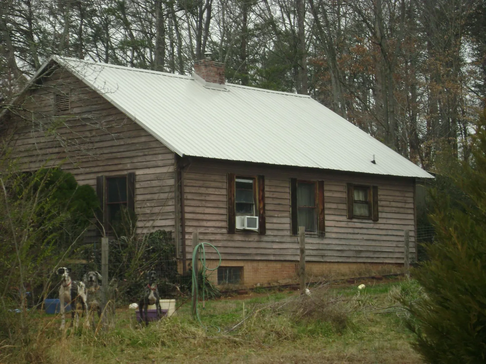 White metal roof on an old wood sided farmhouse, from a Metal Roof Installation job in Roaring River